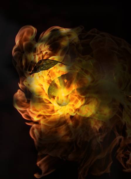 istock Dramatic image of a leaf engulfed in vibrant flames against a dark background. 2192363993