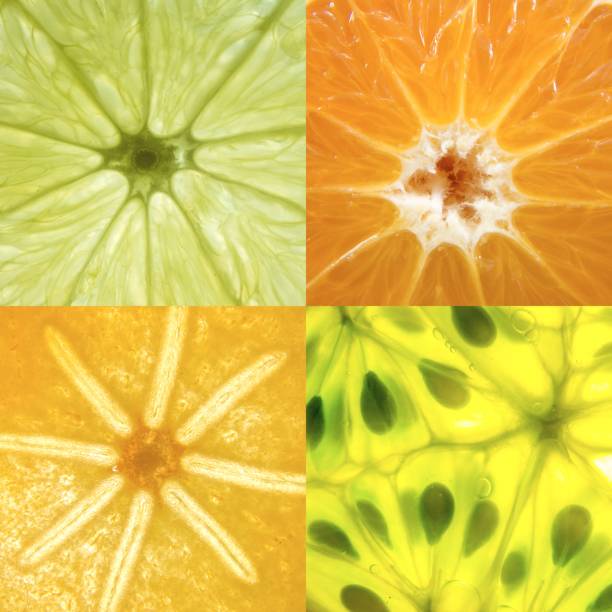 istock collage with fresh fruits 2192365028