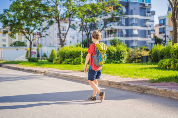 istock Little boy with a backpack go to school. Back view 2192367038