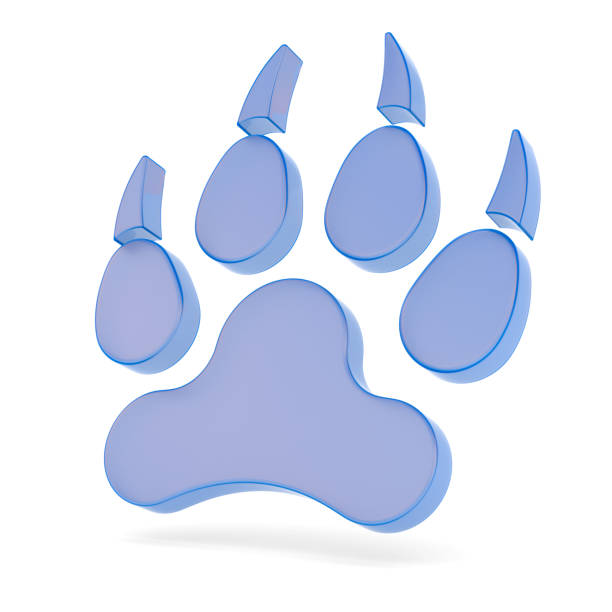istock Paw on white background. Isolated 3D illustration 2192368552