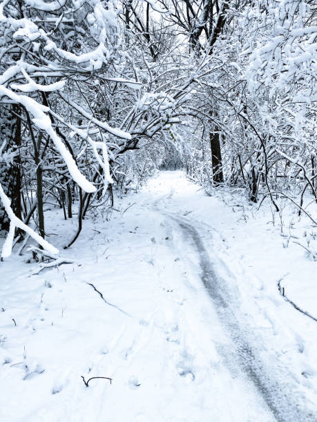 istock Des Moines Water Works Park Winter View 2192369183