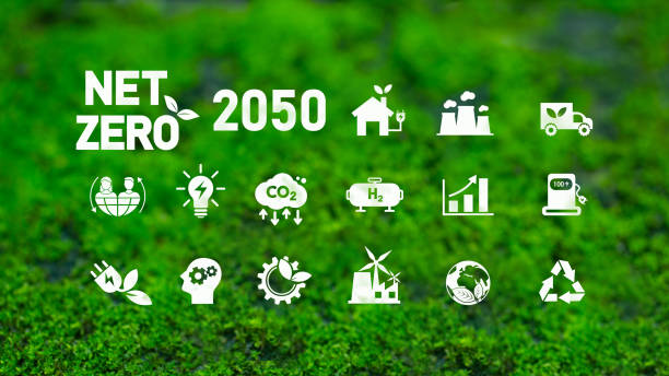 istock Net Zero Emissions and Carbon Neutrality Targets, Long-Term Climate Neutrality Strategy with Icons on Green Grass Background 2192370256