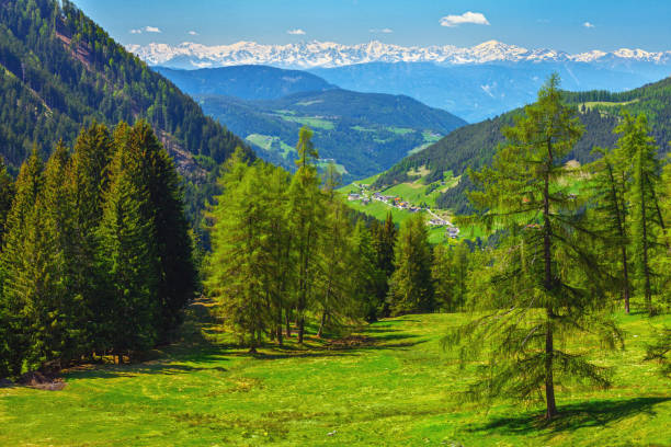 istock Mountain landscape in the Dolomites with pine forest and meadow 2192372087