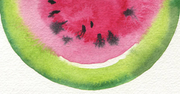 Abstract Watermelon watercolor painting horizontal background. Texture paper.