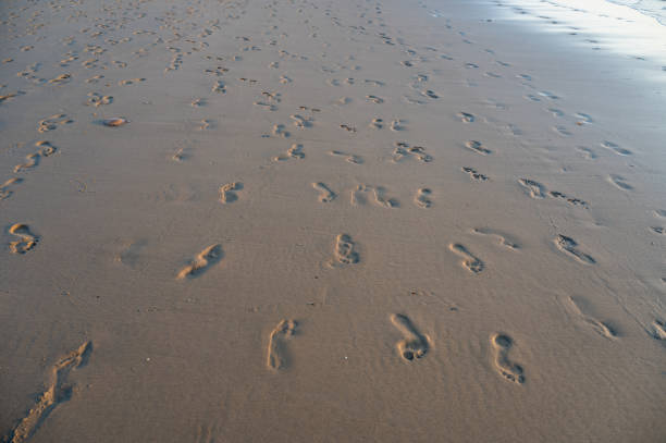Many footprints in the wet sand by the sea, in the evening light