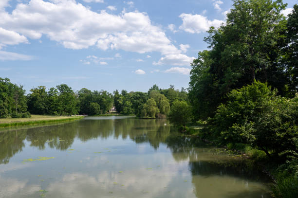 istock A lake in green park 2192373456