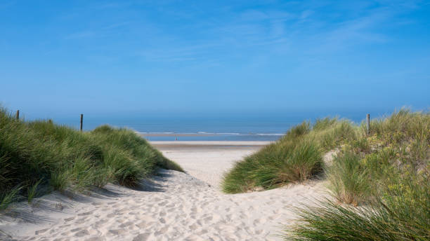 istock Dunes with beach grass and the sea 2192373759