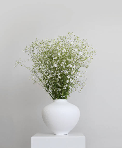 istock White flower bouquet in white vase on gray interior. Minimalist still life. Light and shadow nature vertical background. 2192376608