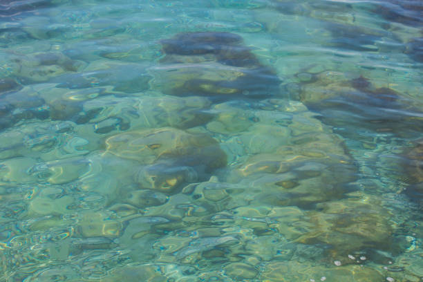 clear water with small waves and bubbles on the surface. The water has a greenish tint, and rocks or textures on the bottom can be seen through it. The light plays on the water, creating beautiful highlights.