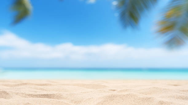 istock Empty tropical sand beach with palm leaves and sunny blue sky abstract background 2192379618