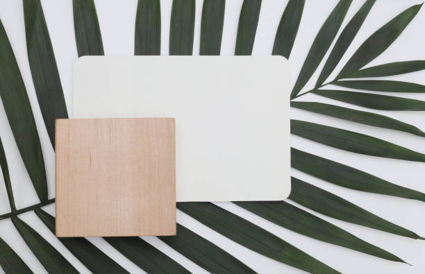 istock Empty wood, canvas paper Blank texture card, palm leaf with copy space for your text message. Minimalism style template background. Flat lay, top view. 2192380080
