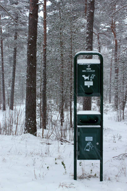 istock Public dog station in winter park 2192381392