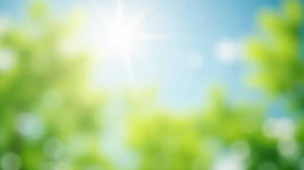 Blurred spring flower background with sunny blossoms, soft focus floral scene, gentle nature image, blooming garden in sunlight, vibrant petal colors, warm season Blurred spring flower background with sunny blossoms, soft focus floral scene, gentle nature image, blooming garden in sunlight, vibrant petal colors, warm season