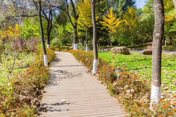 Boardwalk leading to the water cave in Benxi, China
