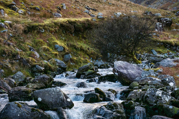 istock A rocky stream flows through a sparsely vegetated landscape. A small, leafless shrub is positioned in the mid-ground. The distant hills are subtly colored. 2192385180