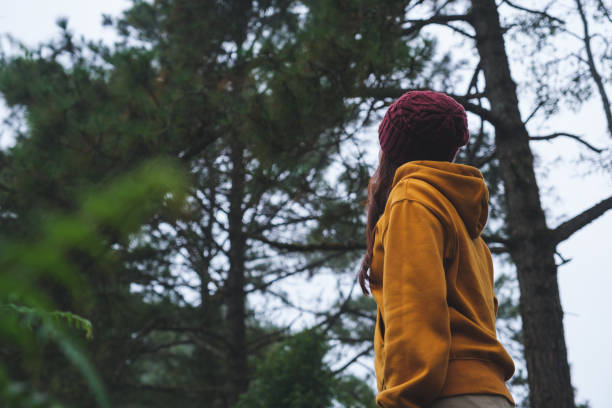 Rear view image of a woman walking into the forest