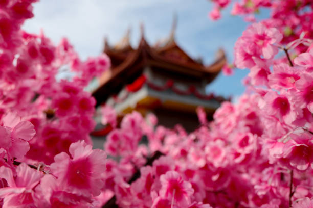 Chinese New Year decoration in temple