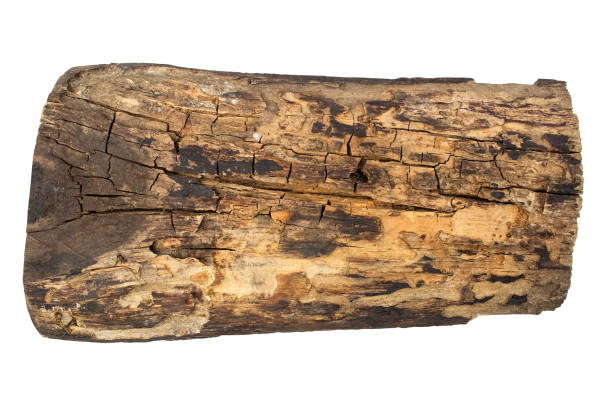 istock Old wooden surface for background or texture. 2192392458