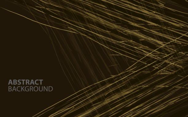 istock abstract background frame border natural brown texture of wood editable. eps10 2192396251