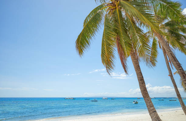istock Alona Beach with coconut palm trees on Bohol Panglao Island. 2192398794