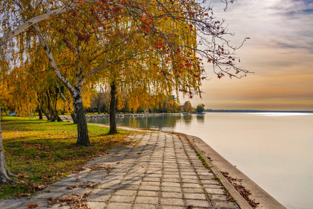 istock Trees near the lake Balaton 2192400178