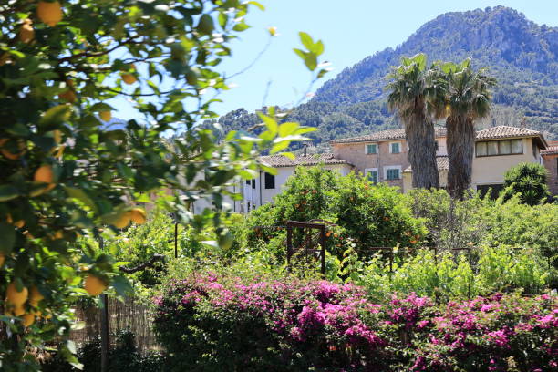 facade with purple bougainvillea flowers
