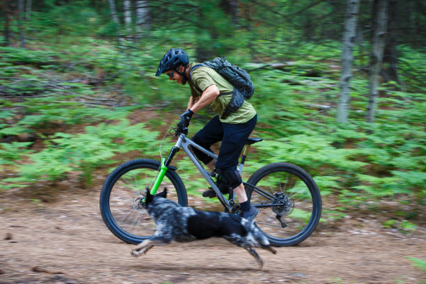 istock Mountain Bike Dog Ride Fun 2192405178