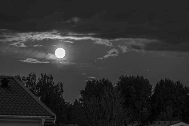 Black and white sharp photo of full moon