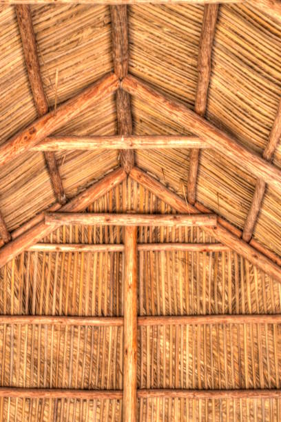 istock Tiki Hut in Paradise With Palm Fronds. 2192408119