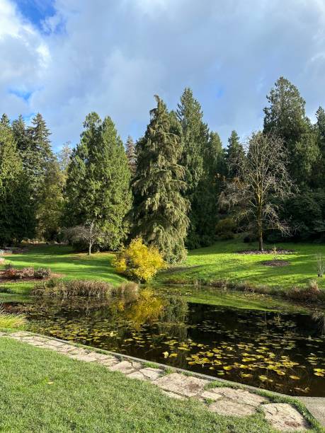istock Peaceful Pond on a Sunny Day 2192411996