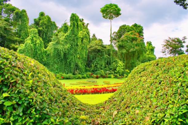 istock Royal Botanic Gardens, Peradeniya, Kandy, Sri Lanka 2192412672