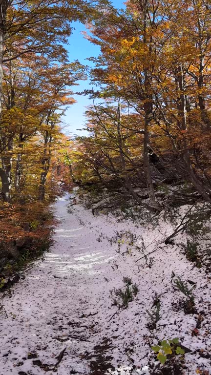 POV autumn hiking on a snowy trail in Andes mountains. Trekking to Refugio Jakob in Nahuel Huapi National Park near San Carlos de Bariloche, Patagonia, Rio Negro Province, Argentina