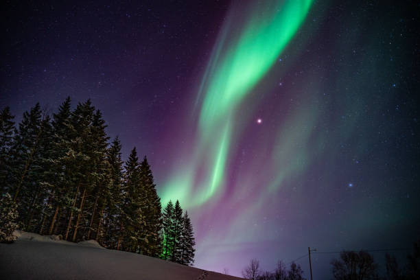 istock Northern Lights above a forest in Lofoten 2192413290