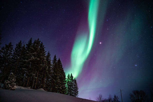 istock Northern Lights above a forest in Lofoten 2192413293