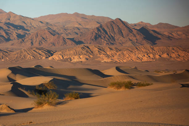 istock mesquite flat sand dunes landscape, death valley 12 2192414311