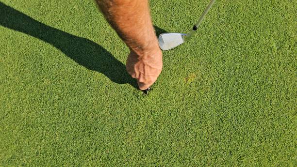 istock Hand holds golf tee while preparing for a successful shot on a lush green putting green in the afternoon 2192414780
