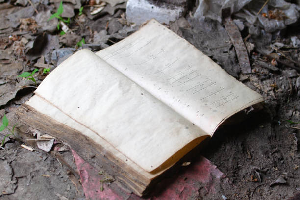 istock ancient book lies in the dirt 2192419036