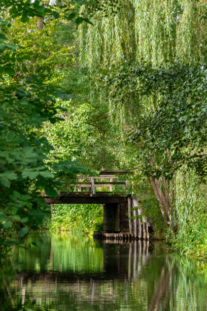 istock Spreewald Germany - idyllic river landscape with mirrored trees in summer 2192421293