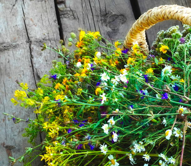 Wildflowers Colorful Top View Rustic Wooden Basket Handle