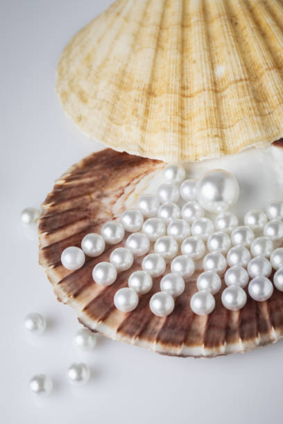 istock Beautiful white sea pearls on a white backdrop 2192424529