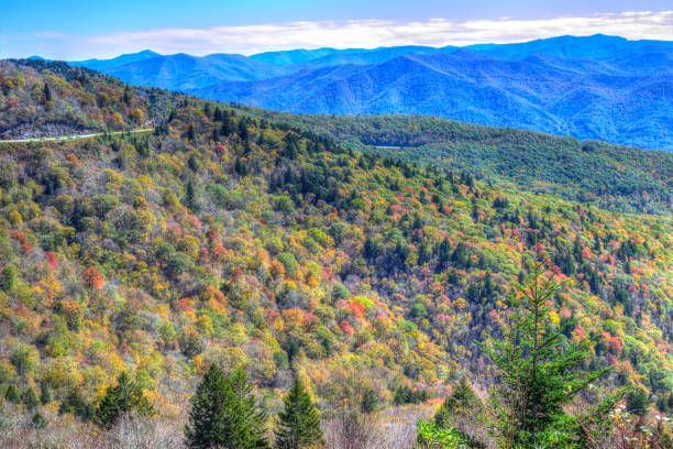 istock Fall at Blue Ridge Mountain Parkway North Carolina 2192429284