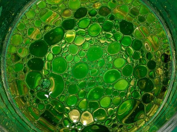 istock Large Green Olive Oil Bubbles In Water Patterns. 2192429994