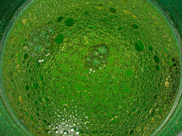 istock Small Green Olive Oil Bubbles In Water Patterns. 2192430144