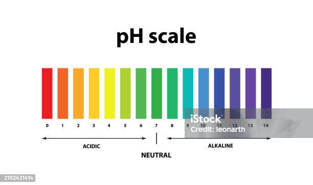Panel. Rating Ph Ph Scale Chart Indicator Diagram Value Litmus Test Stock Illustration ...