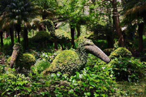 Topiary sculptures of birds covered in lush green foliage in a vibrant garden setting.