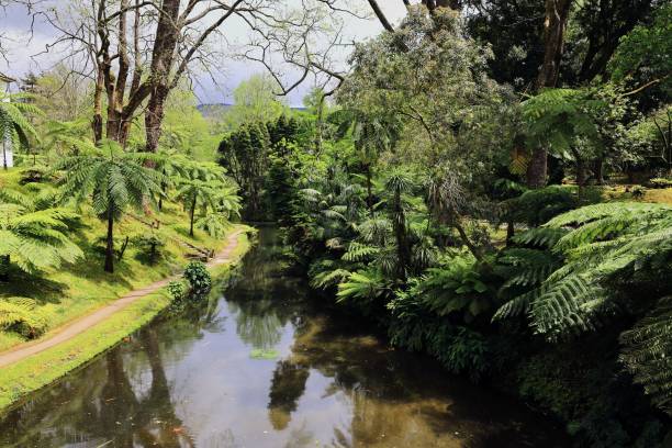 istock Lush park landscape with serene river reflection. 2192439635
