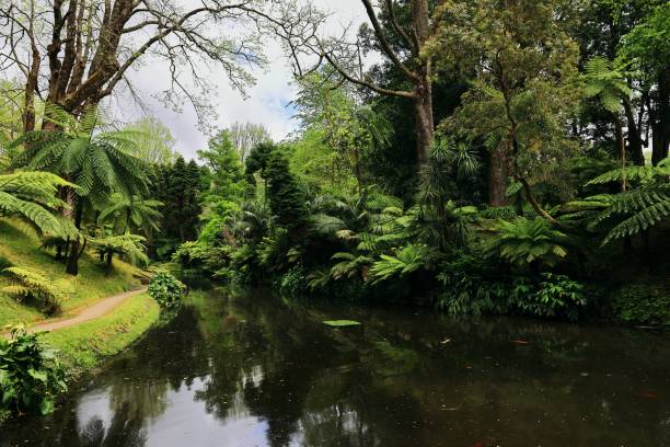 istock Lush Tropical Garden with Serene Pond 2192439643