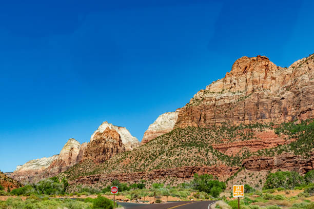 Zion National Park view, Utah, USA.