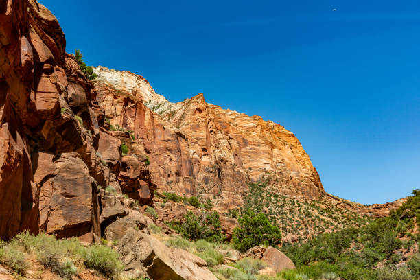istock Zion National Park view, Utah, USA 2192440371