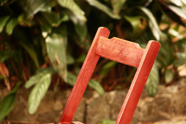 Wooden Chair with Leaves in the Background